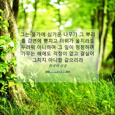 Picture 07 - 예레미야 17:8 KOR - 그는 물가에 심기운 나무가 그 - Bible Verse Picture