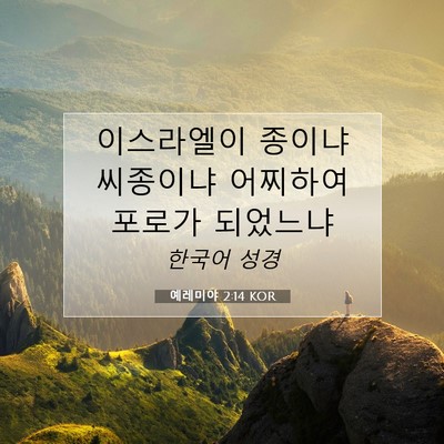 Picture 07 - 예레미야 2:14 KOR - 이스라엘이 종이냐 씨종이냐 - Bible Verse Picture