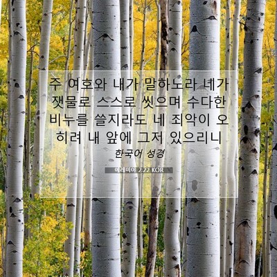 Picture 07 - 예레미야 2:22 KOR - 주 여호와 내가 말하노라 네가 - Bible Verse Picture