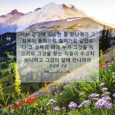 Picture 07 - 예레미야 2:24 KOR - 너는 광야에 익숙한 들 암나귀가 그 - Bible Verse Picture