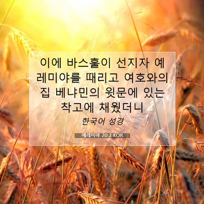 Picture 07 - 예레미야 20:2 KOR - 이에 바스훌이 선지자 예레미야를 - Bible Verse Picture