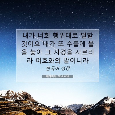 Picture 07 - 예레미야 21:14 KOR - 내가 너희 행위대로 벌할 것이요 - Bible Verse Picture