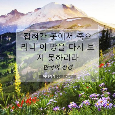 Picture 07 - 예레미야 22:12 KOR - 잡혀간 곳에서 죽으리니 이 땅을 - Bible Verse Picture