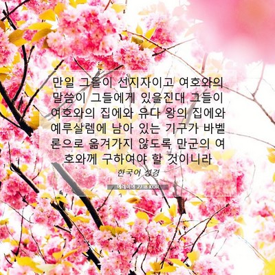 Picture 07 - 예레미야 27:18 KOR - 만일 그들이 선지자이고 여호와의 - Bible Verse Picture