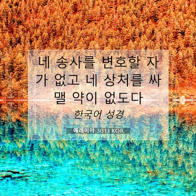 Picture 07 - 예레미야 30:13 KOR - 네 송사를 변호할 자가 없고 네 - Bible Verse Picture