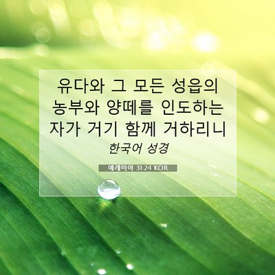 Picture 07 - 예레미야 31:24 KOR - 유다와 그 모든 성읍의 농부와 - Bible Verse Picture