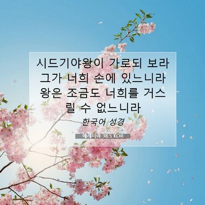 Picture 07 - 예레미야 38:5 KOR - 시드기야왕이 가로되 보라 그가 너희 - Bible Verse Picture