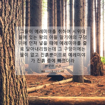 Picture 07 - 예레미야 38:6 KOR - 그들이 예레미야를 취하여 시위대 - Bible Verse Picture