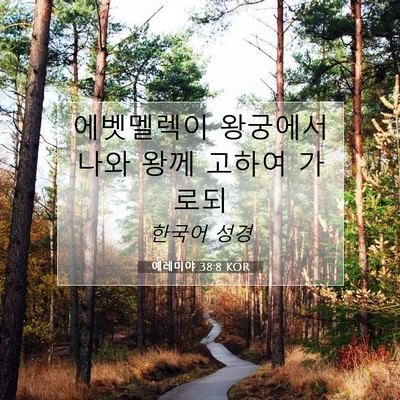Picture 07 - 예레미야 38:8 KOR - 에벳멜렉이 왕궁에서 나와 왕께 - Bible Verse Picture