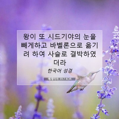 Picture 07 - 예레미야 39:7 KOR - 왕이 또 시드기야의 눈을 빼게하고 - Bible Verse Picture