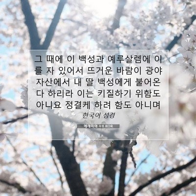 Picture 07 - 예레미야 4:11 KOR - 그 때에 이 백성과 예루살렘에 이를 - Bible Verse Picture