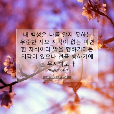 Picture 07 - 예레미야 4:22 KOR - 내 백성은 나를 알지 못하는 우준한 - Bible Verse Picture