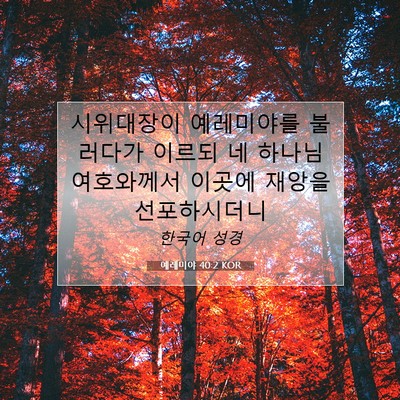 Picture 07 - 예레미야 40:2 KOR - 시위대장이 예레미야를 불러다가 - Bible Verse Picture
