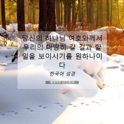 Picture 07 - 예레미야 42:3 KOR - 당신의 하나님 여호와께서 우리의 - Bible Verse Picture