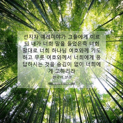 Picture 07 - 예레미야 42:4 KOR - 선지자 예레미야가 그들에게 이르되 - Bible Verse Picture