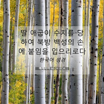 Picture 07 - 예레미야 46:24 KOR - 딸 애굽이 수치를 당하여 북방 - Bible Verse Picture