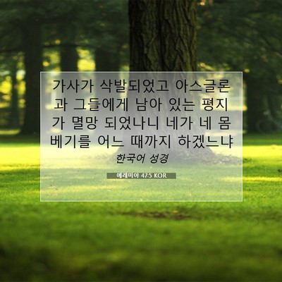 Picture 07 - 예레미야 47:5 KOR - 가사가 삭발되었고 아스글론과 - Bible Verse Picture