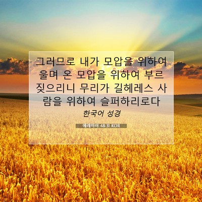 Picture 07 - 예레미야 48:31 KOR - 그러므로 내가 모압을 위하여 울며 - Bible Verse Picture