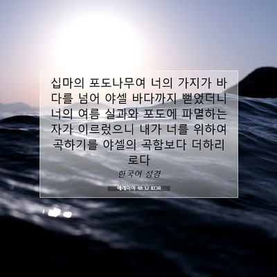 Picture 07 - 예레미야 48:32 KOR - 십마의 포도나무여 너의 가지가 - Bible Verse Picture