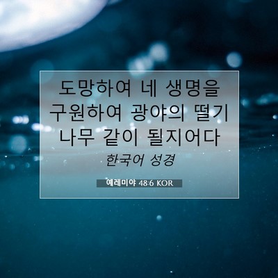 Picture 07 - 예레미야 48:6 KOR - 도망하여 네 생명을 구원하여 광야의 - Bible Verse Picture