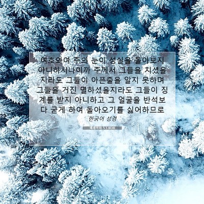Picture 07 - 예레미야 5:3 KOR - 여호와여 주의 눈이 성실을 돌아보지 - Bible Verse Picture
