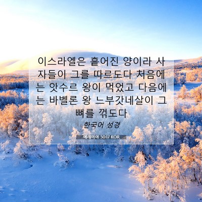 Picture 07 - 예레미야 50:17 KOR - 이스라엘은 흩어진 양이라 사자들이 - Bible Verse Picture