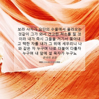 Picture 07 - 예레미야 50:44 KOR - 보라 사자가 요단의 수풀에서 - Bible Verse Picture