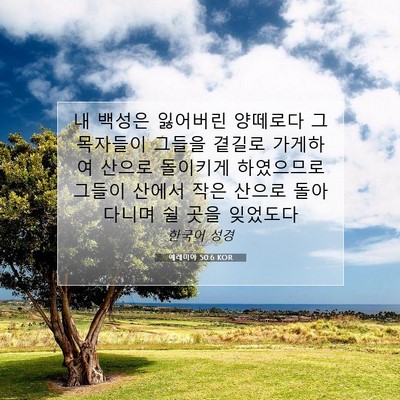 Picture 07 - 예레미야 50:6 KOR - 내 백성은 잃어버린 양떼로다 그 - Bible Verse Picture
