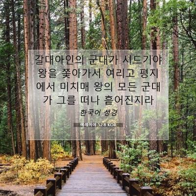 Picture 07 - 예레미야 52:8 KOR - 갈대아인의 군대가 시드기야 왕을 - Bible Verse Picture