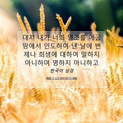 Picture 07 - 예레미야 7:22 KOR - 대저 내가 너희 열조를 애굽 땅에서 - Bible Verse Picture