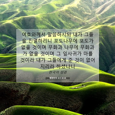 Picture 07 - 예레미야 8:13 KOR - 여호와께서 말씀하시되 내가 그들을 - Bible Verse Picture