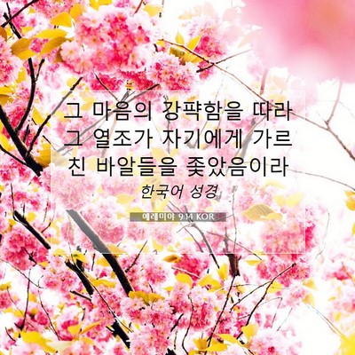 Picture 07 - 예레미야 9:14 KOR - 그 마음의 강퍅함을 따라 그 열조가 - Bible Verse Picture