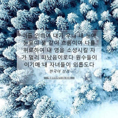 Picture 07 - 예레미야애가 1:16 KOR - 이를 인하여 내가 우니 내 눈에 - Bible Verse Picture