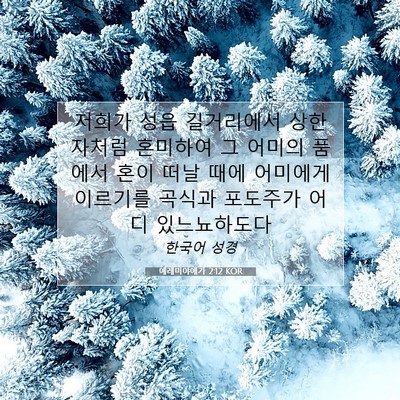 Picture 07 - 예레미야애가 2:12 KOR - 저희가 성읍 길거리에서 상한 자처럼 - Bible Verse Picture