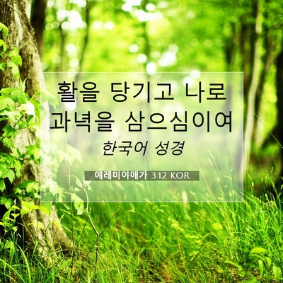 Picture 07 - 예레미야애가 3:12 KOR - 활을 당기고 나로 과녁을 - Bible Verse Picture