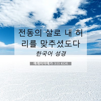 Picture 07 - 예레미야애가 3:13 KOR - 전동의 살로 내 허리를 - Bible Verse Picture