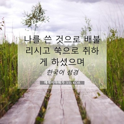 Picture 07 - 예레미야애가 3:15 KOR - 나를 쓴 것으로 배불리시고 쑥으로 - Bible Verse Picture