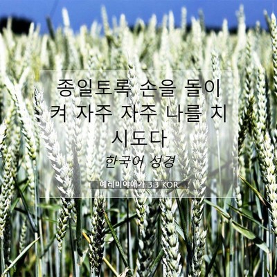 Picture 07 - 예레미야애가 3:3 KOR - 종일토록 손을 돌이켜 자주 자주 - Bible Verse Picture