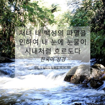 Picture 07 - 예레미야애가 3:48 KOR - 처녀 내 백성의 파멸을 인하여 내 - Bible Verse Picture