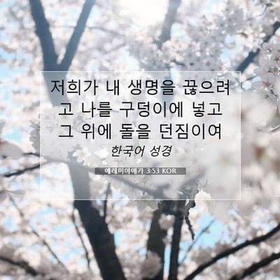 Picture 07 - 예레미야애가 3:53 KOR - 저희가 내 생명을 끊으려고 나를 - Bible Verse Picture
