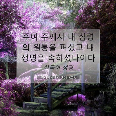 Picture 07 - 예레미야애가 3:58 KOR - 주여 주께서 내 심령의 원통을 - Bible Verse Picture