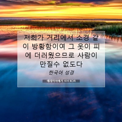 Picture 07 - 예레미야애가 4:14 KOR - 저희가 거리에서 소경 같이 - Bible Verse Picture