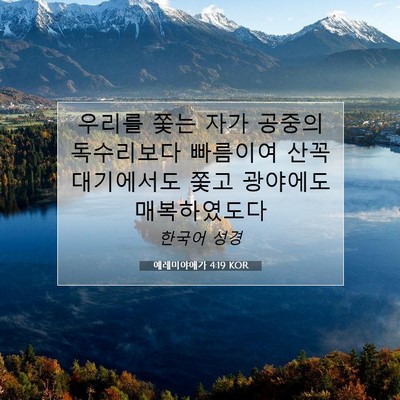 Picture 07 - 예레미야애가 4:19 KOR - 우리를 쫓는 자가 공중의 독수리보다 - Bible Verse Picture