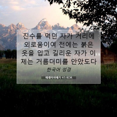 Picture 07 - 예레미야애가 4:5 KOR - 진수를 먹던 자가 거리에 외로움이여 - Bible Verse Picture