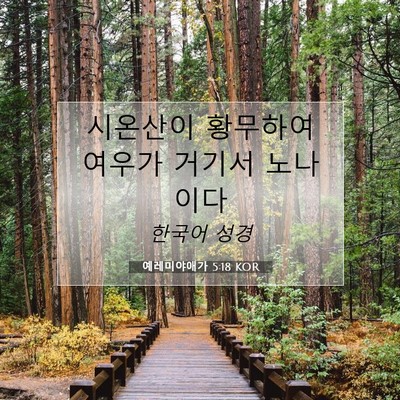 Picture 07 - 예레미야애가 5:18 KOR - 시온산이 황무하여 여우가 거기서 - Bible Verse Picture