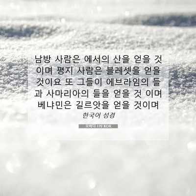 Picture 07 - 오바댜 1:19 KOR - 남방 사람은 에서의 산을 얻을 - Bible Verse Picture