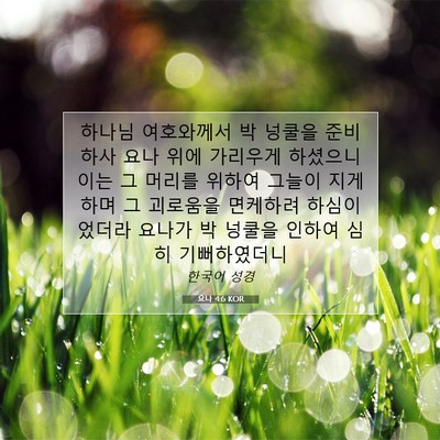 Picture 07 - 요나 4:6 KOR - 하나님 여호와께서 박 넝쿨을 - Bible Verse Picture