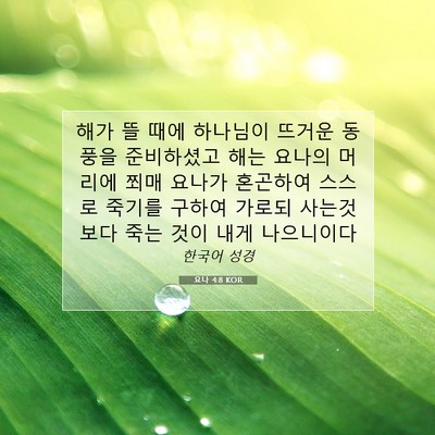 Picture 07 - 요나 4:8 KOR - 해가 뜰 때에 하나님이 뜨거운 - Bible Verse Picture