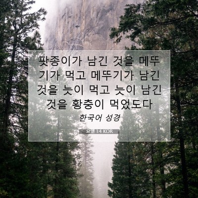 Picture 07 - 요엘 1:4 KOR - 팟종이가 남긴 것을 메뚜기가 먹고 - Bible Verse Picture