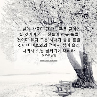Picture 07 - 요엘 3:18 KOR - 그 날에 산들이 단 포도주를 - Bible Verse Picture